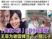 郑州高禾电子科技有限公司