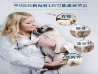 郑州高禾电子科技有限公司