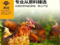 郑州高禾电子科技有限公司