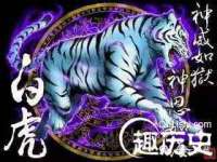 郑州高禾电子科技有限公司