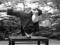 郑州高禾电子科技有限公司