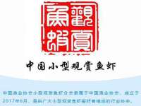 郑州高禾电子科技有限公司