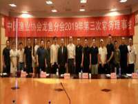 郑州高禾电子科技有限公司