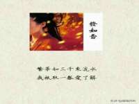 郑州高禾电子科技有限公司