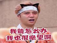 郑州高禾电子科技有限公司