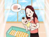 郑州高禾电子科技有限公司