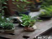 郑州高禾电子科技有限公司
