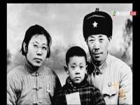 郑州高禾电子科技有限公司