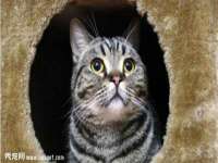 郑州高禾电子科技有限公司