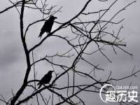 郑州高禾电子科技有限公司