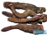 郑州高禾电子科技有限公司