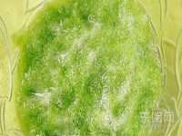 郑州高禾电子科技有限公司