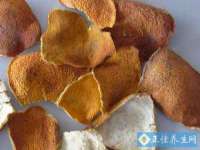 郑州高禾电子科技有限公司