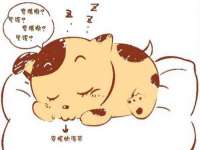 郑州高禾电子科技有限公司