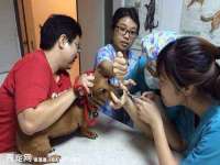 郑州高禾电子科技有限公司