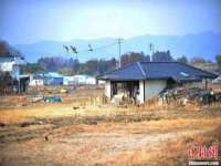 郑州高禾电子科技有限公司