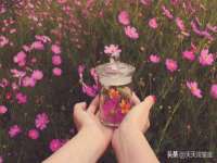 郑州高禾电子科技有限公司