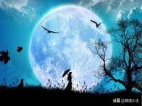郑州高禾电子科技有限公司