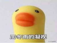 郑州高禾电子科技有限公司
