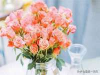 郑州高禾电子科技有限公司
