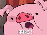 郑州高禾电子科技有限公司