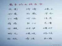 郑州高禾电子科技有限公司