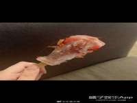 郑州高禾电子科技有限公司